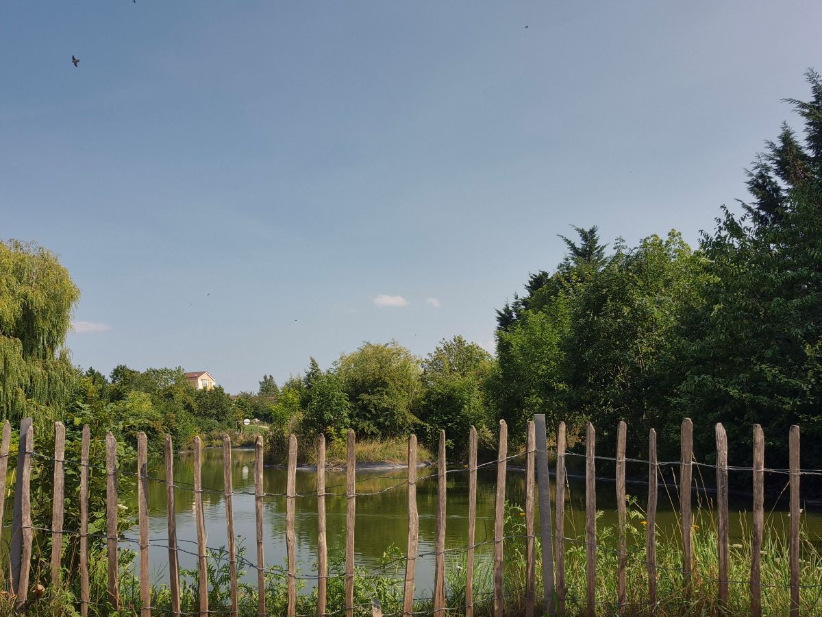 Unsere ehrlichen Erfahrungen im Center Parcs Hochsauerland